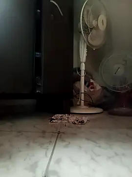 payalchola online show from 03/14/26, 07:25