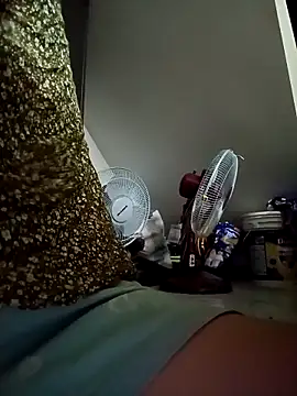 payalchola online show from 04/15/26, 04:55