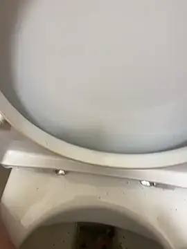 Snapshot of Alexander18edd chatting on 09/24/25, 08:54 Alexander18edd online show from 09/24/25, 08:54