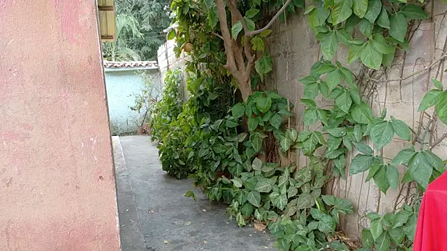 Snapshot of twinks_28 chatting on 01/17/26, 08:45 twinks 28 online show from 01/17/26, 08:45