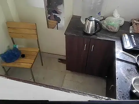 fitbuddy1 online show from 03/01/26, 07:08