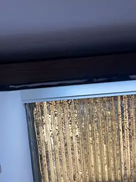 Madisson-Rivas online show from 11/13/25, 06:12