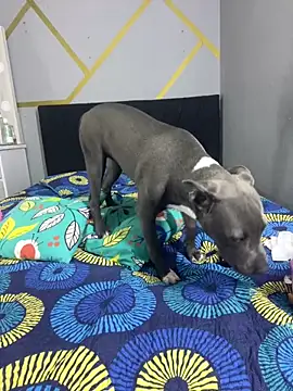 angellicaa  online show from 03/07/26, 02:11