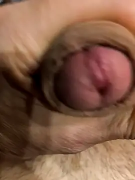 bavaricus123 online show from 03/22/26, 05:14