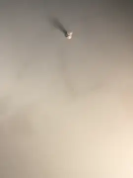 1Zoey101 online show from 12/02/25, 07:32