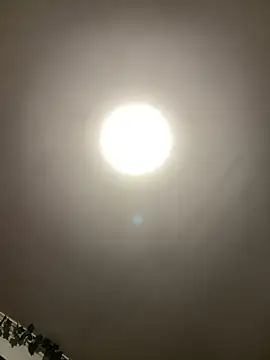 1Zoey101 online show from 04/05/26, 05:52