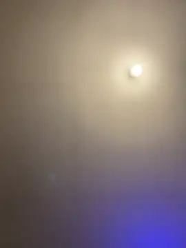 1Zoey101 online show from 03/02/26, 07:21