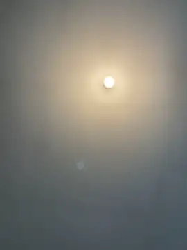 1Zoey101 online show from 02/15/26, 08:57