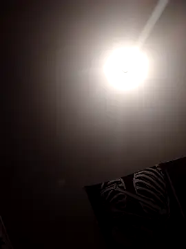 1Zoey101 online show from 02/04/26, 05:19