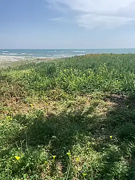 Smallcoco26 online show from 03/07/25, 09:40