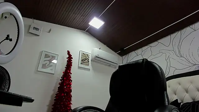 Snapshot of Allison_greey chatting on 01/10/26, 07:31 Allison greey online show from 01/10/26, 07:31