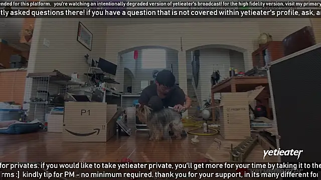 Snapshot of yetieater chatting on 02/13/25, 05:22 yetieater online show from 02/13/25, 05:22