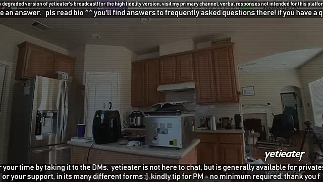 Snapshot of yetieater chatting on 02/04/25, 04:39 yetieater online show from 02/04/25, 04:39