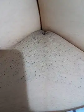 yakot7 online show from 10/04/25, 09:38