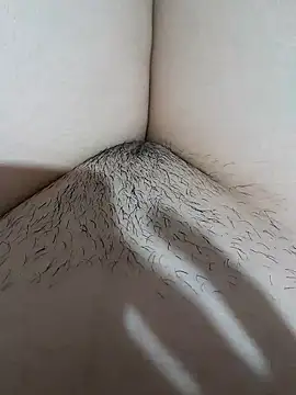 yakot7 online show from 11/14/25, 11:30