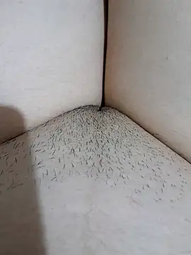 yakot7 online show from 11/02/25, 12:26