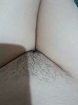 yakot7 online show from 11/15/25, 11:42