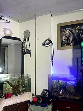 CRAZY-BOY99 online show from 01/15/26, 08:51