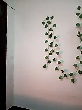 Neha-Bhabhi-Rasily online show from 02/20/26, 11:12