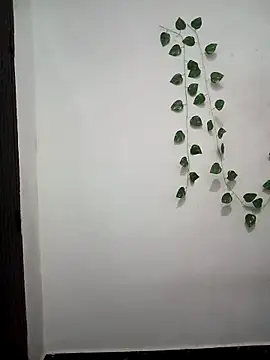 Neha-Bhabhi-Rasily online show from 03/22/26, 04:30