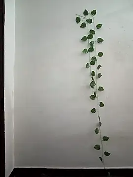 Neha-Bhabhi-Rasily online show from 03/24/26, 03:50