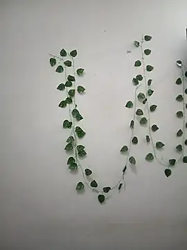 Neha-Bhabhi-Rasily online show from 04/07/26, 11:34