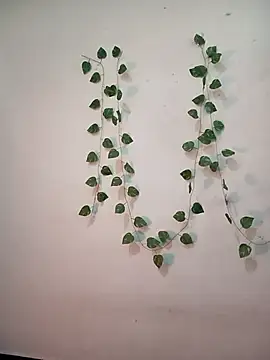 Neha-Bhabhi-Rasily online show from 02/10/26, 04:44