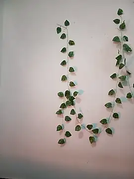 Neha-Bhabhi-Rasily online show from 02/18/26, 11:17