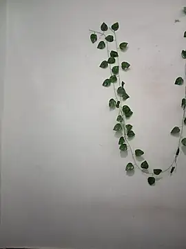 Neha-Bhabhi-Rasily online show from 04/06/26, 04:52