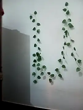 Neha-Bhabhi-Rasily online show from 02/17/26, 07:11