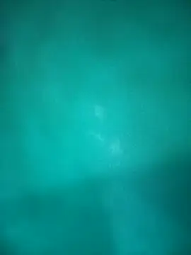 Neha-Bhabhi-Rasily online show from 10/29/25, 04:50