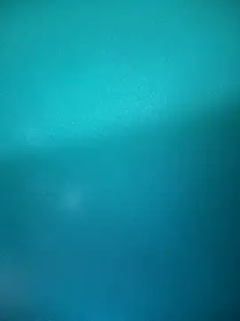 Neha-Bhabhi-Rasily online show from 09/23/25, 10:11