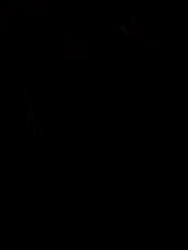 Snapshot of viviksmel chatting on 10/25/25, 11:53 viviksmel online show from 10/25/25, 11:53