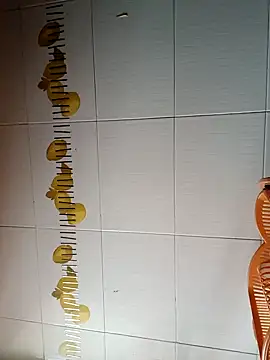 Snapshot of BellyDancer1 chatting on 10/29/25, 08:35 BellyDancer1 online show from 10/29/25, 08:35