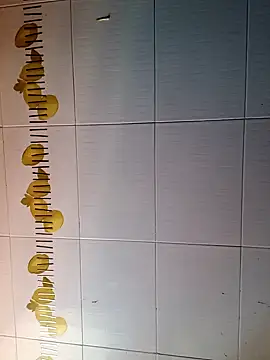 Snapshot of BellyDancer1 chatting on 10/16/25, 09:28 BellyDancer1 online show from 10/16/25, 09:28