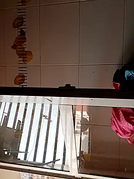 Snapshot of BellyDancer1 chatting on 11/05/25, 08:50 BellyDancer1 online show from 11/05/25, 08:50