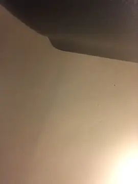 Snapshot of Donnydon79 chatting on 03/04/25, 11:32 Donnydon79 online show from 03/04/25, 11:32