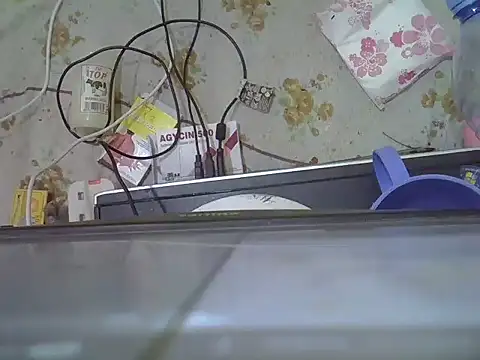 Nubian Nefertiti online show from 01/15/26, 03:04