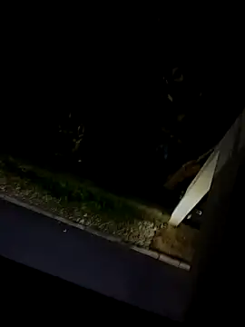 BUTTerflyTODAY online show from 03/01/26, 03:39