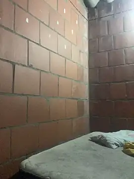 sex room 1608 online show from 05/17/26, 03:17