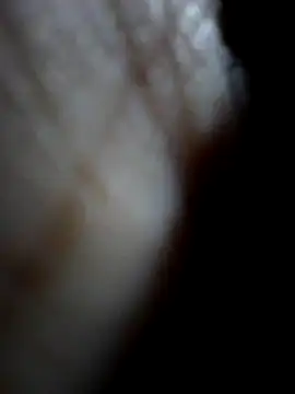 Sandra42 online show from 12/15/25, 09:48