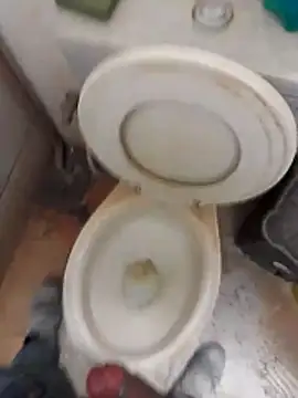 paugrosso553 online show from 11/08/25, 01:47