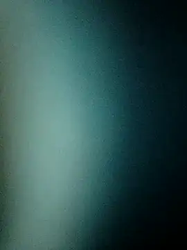 Snapshot of connor_steel2 chatting on 03/10/25, 03:09 connor steel2 online show from 03/10/25, 03:09