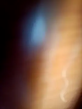 gordiricosv online show from 02/14/26, 09:37