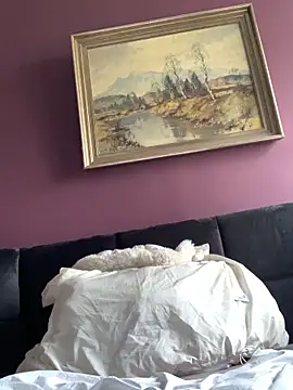 Saysay-7 online show from 02/23/26, 12:28