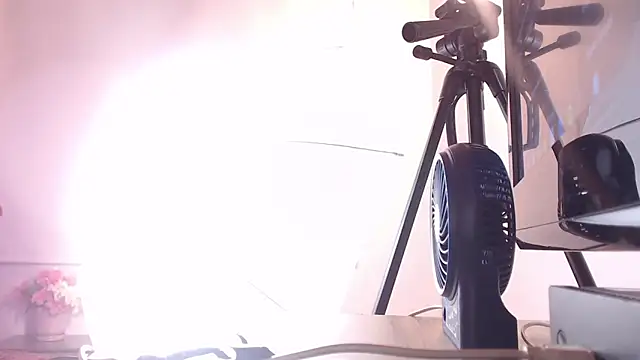 Cattleya gilQS online show from 03/20/25, 11:23