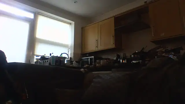 Grower and shower online show from 11/17/25, 11:47