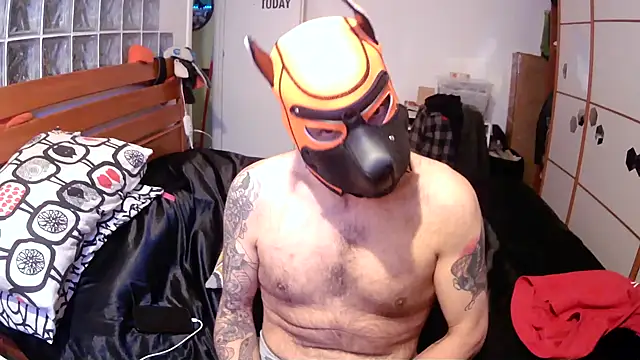 danix wild wolf online show from 12/17/25, 01:27