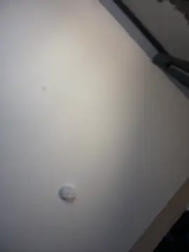 KITTYBOOBOOFUXX online show from 04/03/26, 06:31