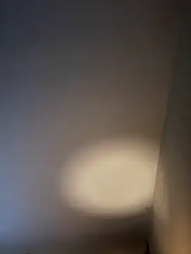 Snapshot of KITTYBOOBOOFUXX chatting on 02/03/26, 06:51 KITTYBOOBOOFUXX online show from 02/03/26, 06:51